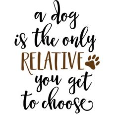 a dog is the only relative phrase