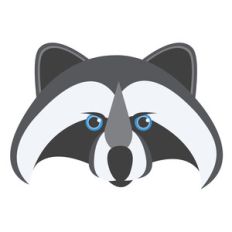 forest friends: raccoon