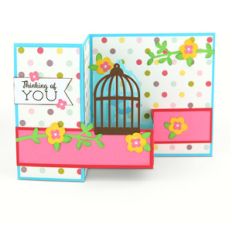 POP UP BOX CARD BIRDCAGE
