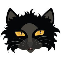black cat