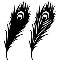 peacock feathers