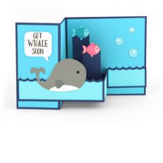 pop up box card whale
