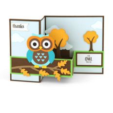 pop up box card owl