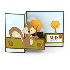 pop up box card squirrel