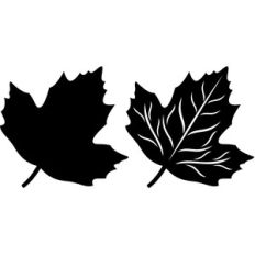 fall leaf