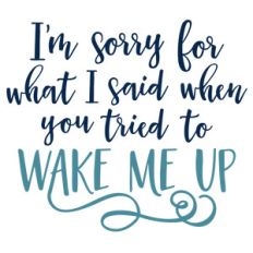 sorry for what i said phrase