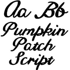 pumpkin patch script