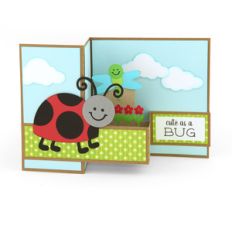 pop up box card bug