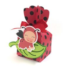 baby ladybug box