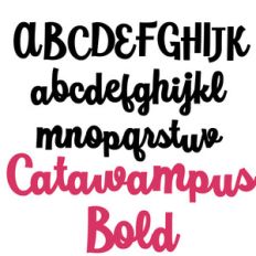 zp catawampus bold
