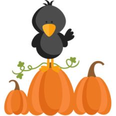 crow on pumpkins