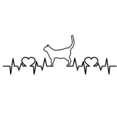 love cats heartbeat
