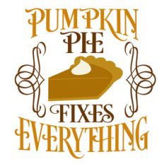 pumpkin pie fixes everything