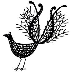 lyrebird