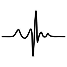 single heart beat