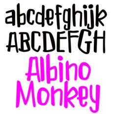 pn albino monkey