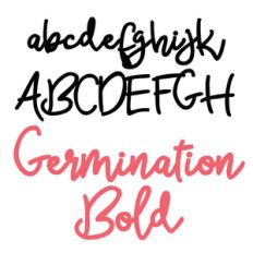 zp germination bold
