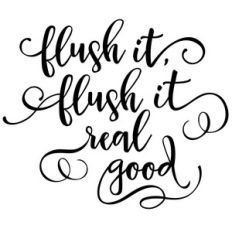 flush it real good phrase