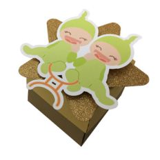 baby gemini box