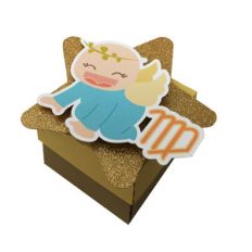 baby virgo box