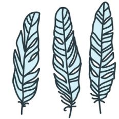 wild bird feathers