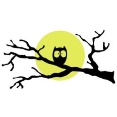 owl on branch