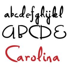 zp carolina