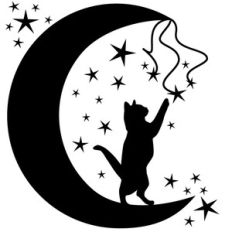 cat in the moon