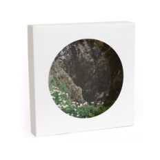 circle photo box
