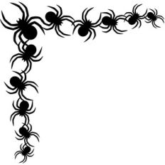 spiders corner