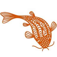koi carp