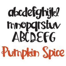pn pumpkin spice