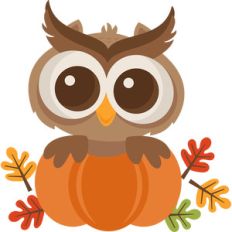 fall owl in pumpkin