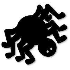 spider angled