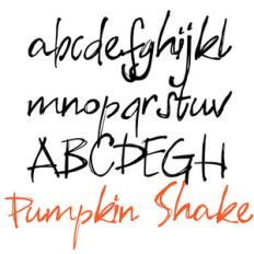 zp pumpkin shake