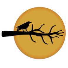bird on branch