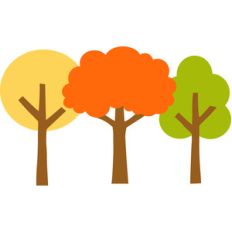 fall trees - flea market