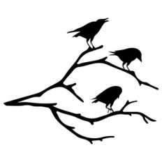 crows on branches