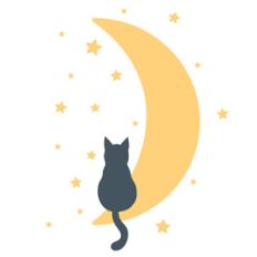 cat on the moon