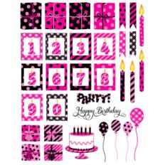 hot pink and black birthday planner