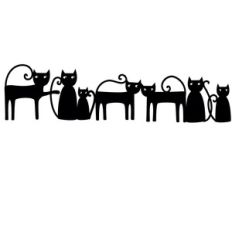 black cats border