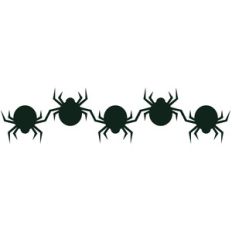 spider border
