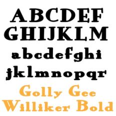 pn golly gee williker bold