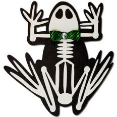 frog skeleton