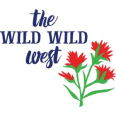 the wild west