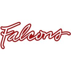 falcons