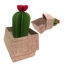 3d cactus box