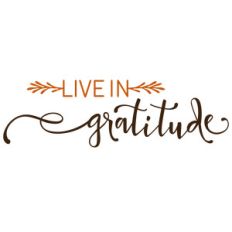 live in gratitude