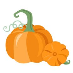 pumpkin duo