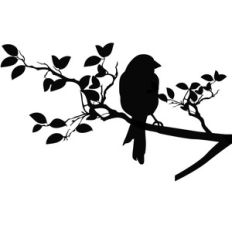 bird on a branch